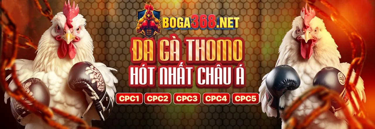 Mẹo bảo mật tài khoản Kèo2
